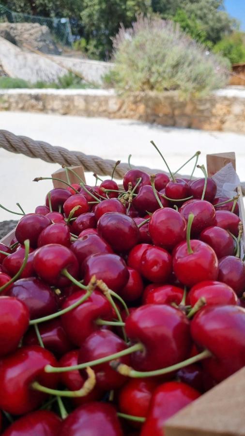 Finca Sa Cova De Mallorca Sencelles Εξωτερικό φωτογραφία