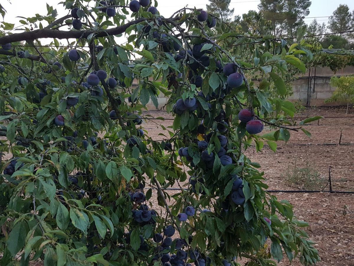 Finca Sa Cova De Mallorca Sencelles Εξωτερικό φωτογραφία
