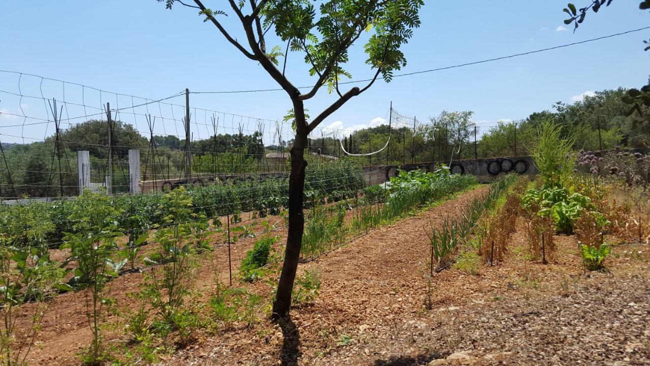 Finca Sa Cova De Mallorca Sencelles Εξωτερικό φωτογραφία