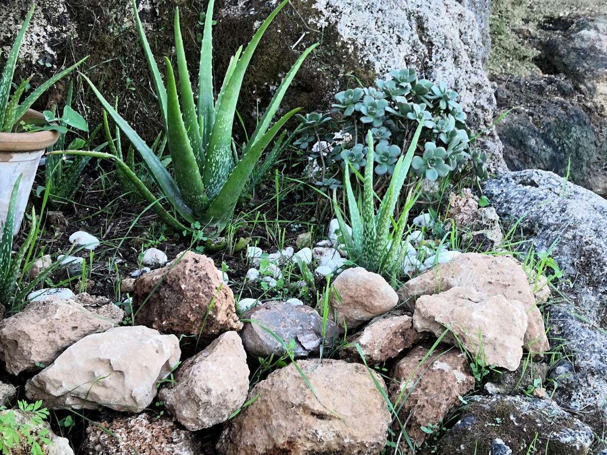 Finca Sa Cova De Mallorca Sencelles Εξωτερικό φωτογραφία