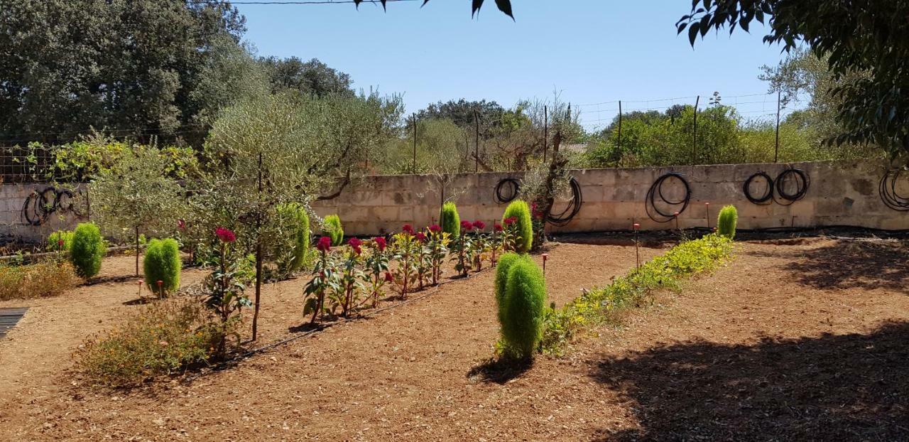 Finca Sa Cova De Mallorca Sencelles Εξωτερικό φωτογραφία